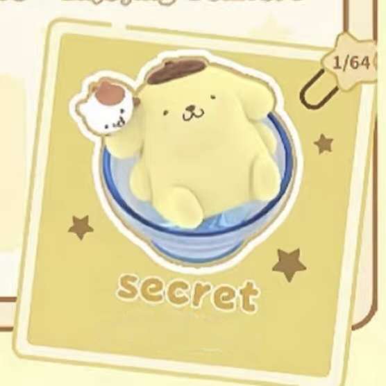Sanrio Pompompurin Floofy Daily Blind Box Figures